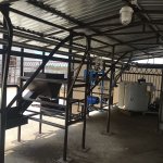 Летний лагерь для коров