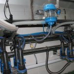 Доильный зал параллель