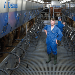 delaval